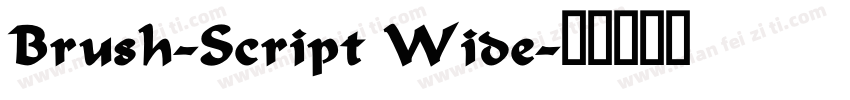 Brush-Script Wide字体转换